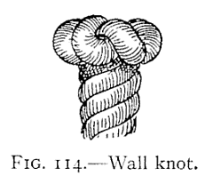 Illustration: FIG. 114.—Wall knot.