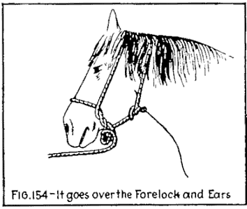 Illustration: FIG. 154—It goes over the Forelock and Ears.
